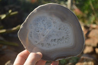 Polished Highly Selected Agate Slices  x 4 From Madagascar