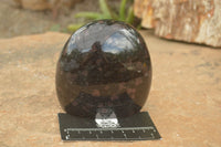 Polished New Sparkling Blue Iolite Standing Free Form & Point x 2 From Madagascar - TopRock