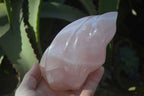 Polished Pink Rose Quartz Flame Sculptures x 2 From Madagascar - Toprock Gemstones and Minerals 