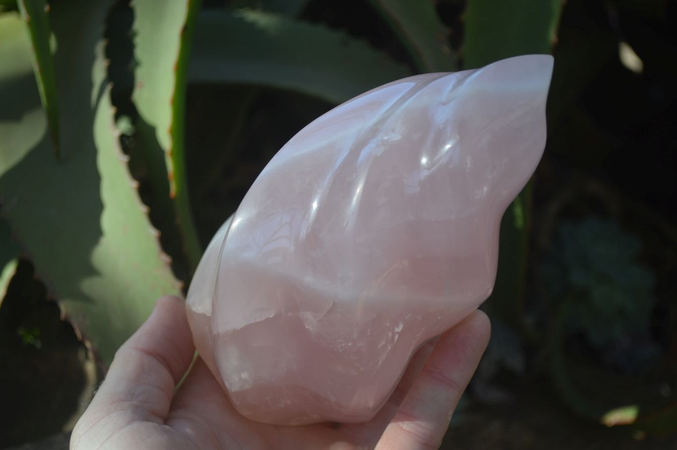 Polished Pink Rose Quartz Flame Sculptures x 2 From Madagascar - Toprock Gemstones and Minerals 
