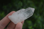 Natural Single Etched Clear Quartz Crystals  x 35 From Mpika, Zambia - Toprock Gemstones and Minerals 