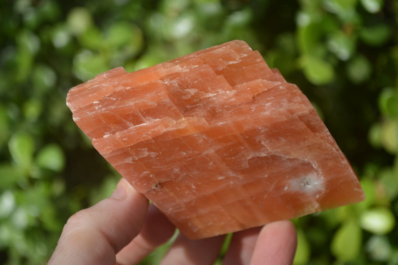 Natural New Sunset Orange Calcite Specimens  x 12 From Spitzkop, Namibia - Toprock Gemstones and Minerals 