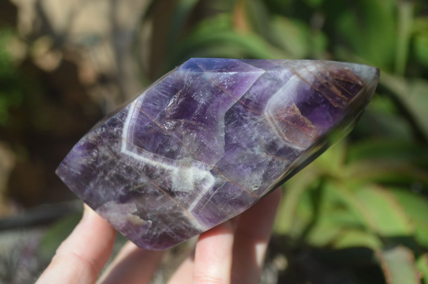 Polished Chevron Amethyst Point x 1 From Zambia - Toprock Gemstones and Minerals 