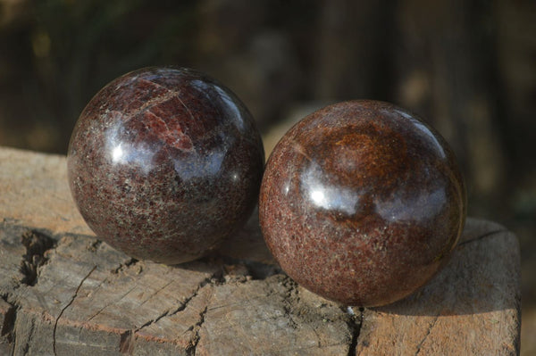 Polished Red Pyrope Garnet Spheres  x 2 From Madagascar