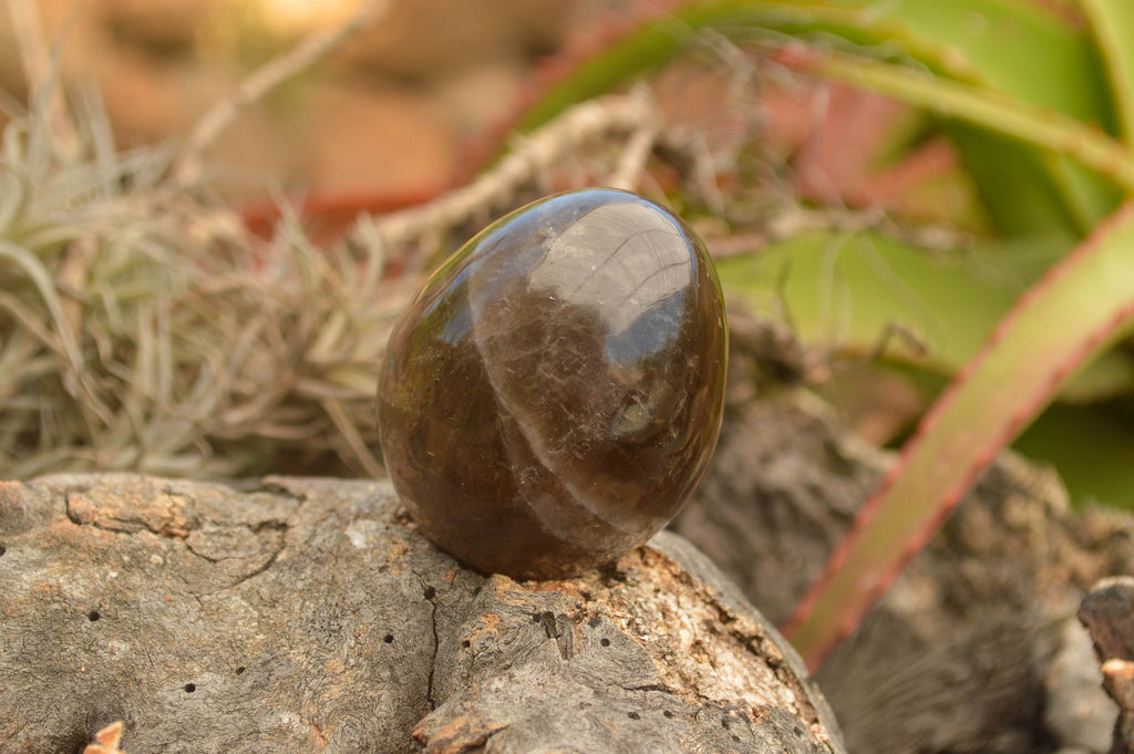 Polished Morion Smokey Quartz Eggs x 6 From Madagascar - TopRock