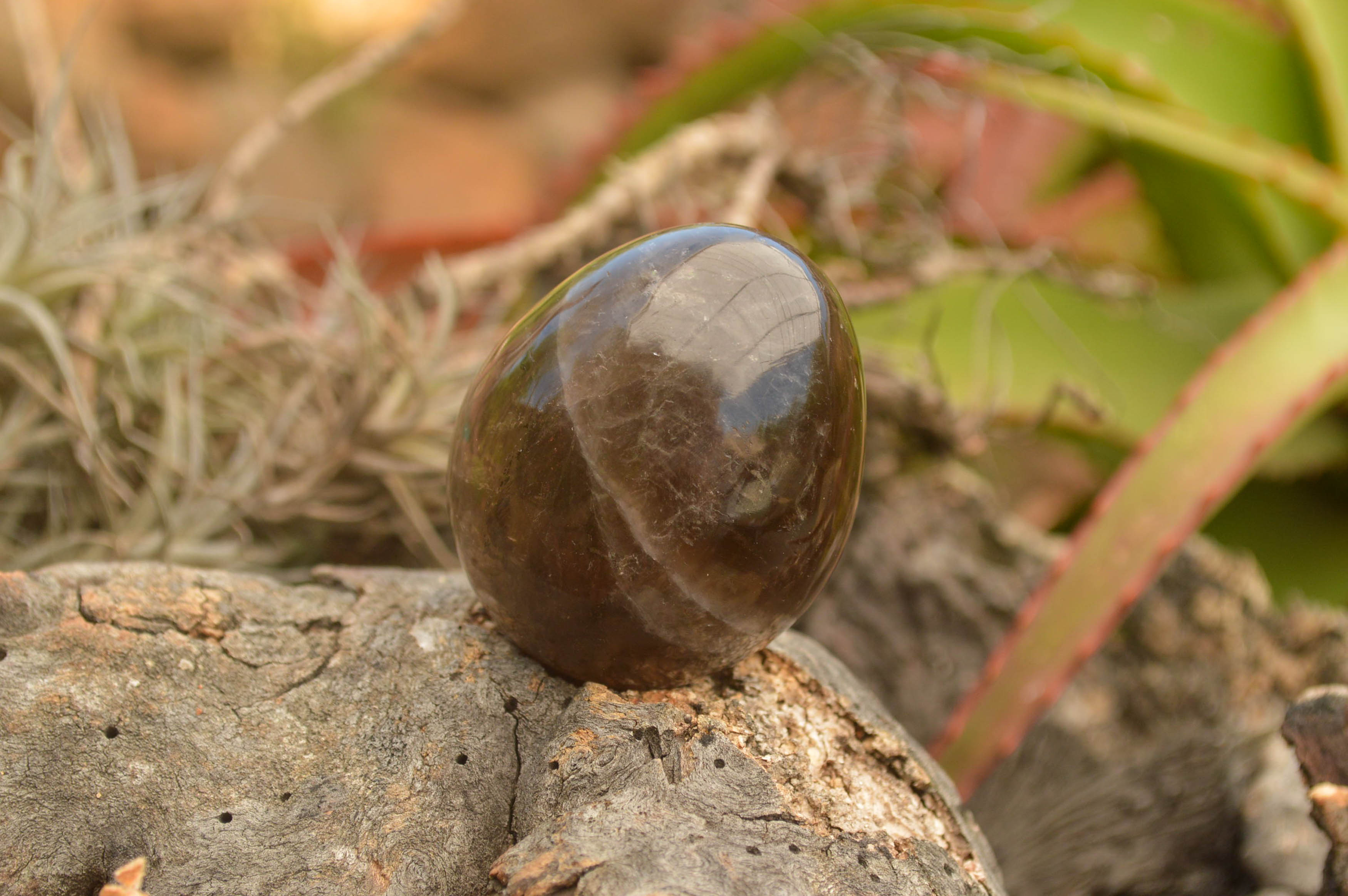 Polished Morion Smokey Quartz Eggs x 6 From Madagascar - TopRock
