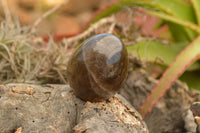 Polished Morion Smokey Quartz Eggs x 6 From Madagascar - TopRock