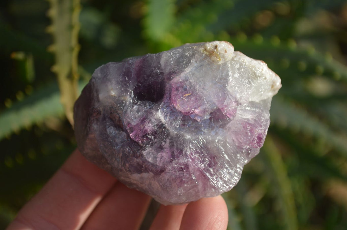 Natural Rough Watermelon Fluorite Cobbed Specimens  x 24 From Uis, Namibia - Toprock Gemstones and Minerals 