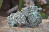 Natural Rare Emerald Mica In Matrix Cobbed Specimens x 12 From Mutoko, Zimbabwe - Toprock Gemstones and Minerals 