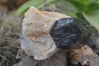 Natural Schorl Black Tourmaline Specimens x 2 From Erongo Mountains, Namibia - TopRock
