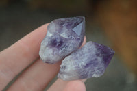 Polished Small Single Amethyst Crystals  x 70 From Zambia - Toprock Gemstones and Minerals 