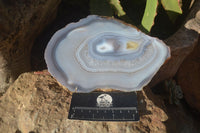 Polished Highly Selected Agate Slices  x 4 From Madagascar
