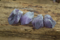 Polished Small Single Amethyst Crystals  x 70 From Zambia - Toprock Gemstones and Minerals 
