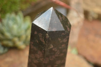 Polished New Sparkling Blue Iolite Standing Free Form & Point x 2 From Madagascar - TopRock