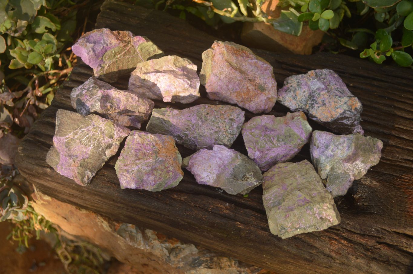 Natural Rough Stichtite & Serpentine Specimens x 12 From Barberton, South Africa - Toprock Gemstones and Minerals 