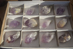 Natural Jacaranda Amethyst Crystals x 12 From Mumbwa, Zambia - Toprock Gemstones and Minerals 