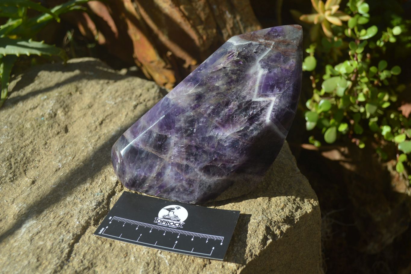 Polished Chevron Amethyst Point x 1 From Zambia - Toprock Gemstones and Minerals 