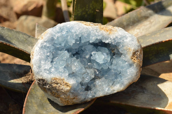 Natural Blue Celestite Geode Specimens  x 2 From Sakoany, Madagascar
