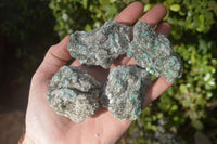 Natural Rare Emerald Mica In Matrix Cobbed Specimens x 20 From Mutoko, Zimbabwe - Toprock Gemstones and Minerals 