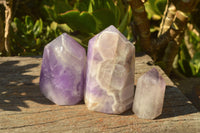 Polished Amethyst Crystals With Stunning Patterns  x 3 From Madagascar - TopRock