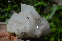 Natural Lovely Mostly Intact Quartz Crystal Specimens  x 6 From Madagascar - TopRock