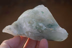 Natural Rough Green Jade Cobbed Specimens x 12 From Swaziland - Toprock Gemstones and Minerals 