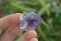 Polished Small Single Amethyst Crystals  x 70 From Zambia - Toprock Gemstones and Minerals 