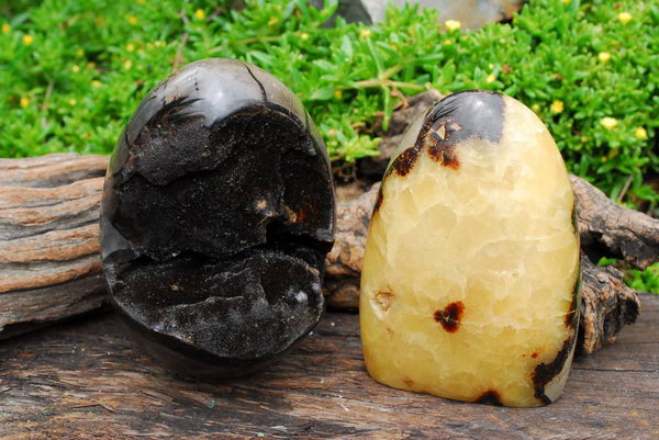 Polished Septeyre Sauvage Dragon Egg & Septeyre Standing Free Form x 2 From Mahajanga, Madagascar - TopRock