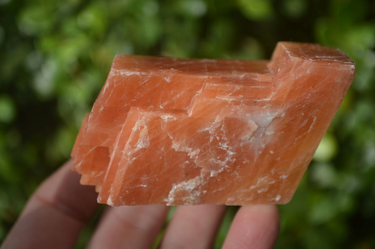 Natural New Sunset Orange Calcite Specimens  x 12 From Spitzkop, Namibia - Toprock Gemstones and Minerals 