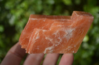 Natural New Sunset Orange Calcite Specimens  x 12 From Spitzkop, Namibia - Toprock Gemstones and Minerals 