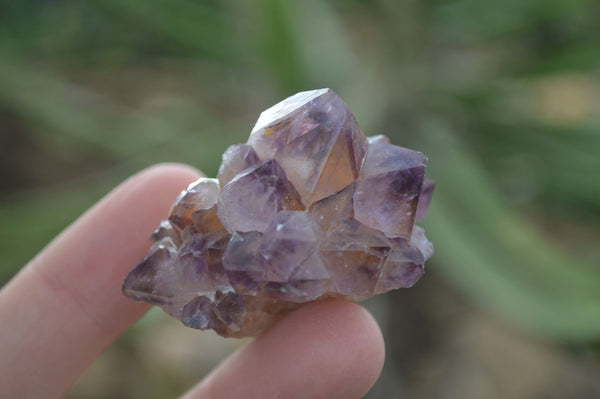 Natural Spirit Amethyst Quartz Crystals  x 24 From Boekenhouthoek, South Africa - Toprock Gemstones and Minerals 