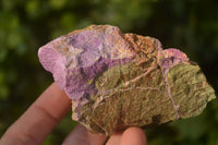 Natural Rough Stichtite & Serpentine Specimens x 12 From Barberton, South Africa - Toprock Gemstones and Minerals 