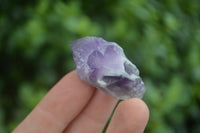 Polished Small Single Amethyst Crystals  x 70 From Zambia - Toprock Gemstones and Minerals 