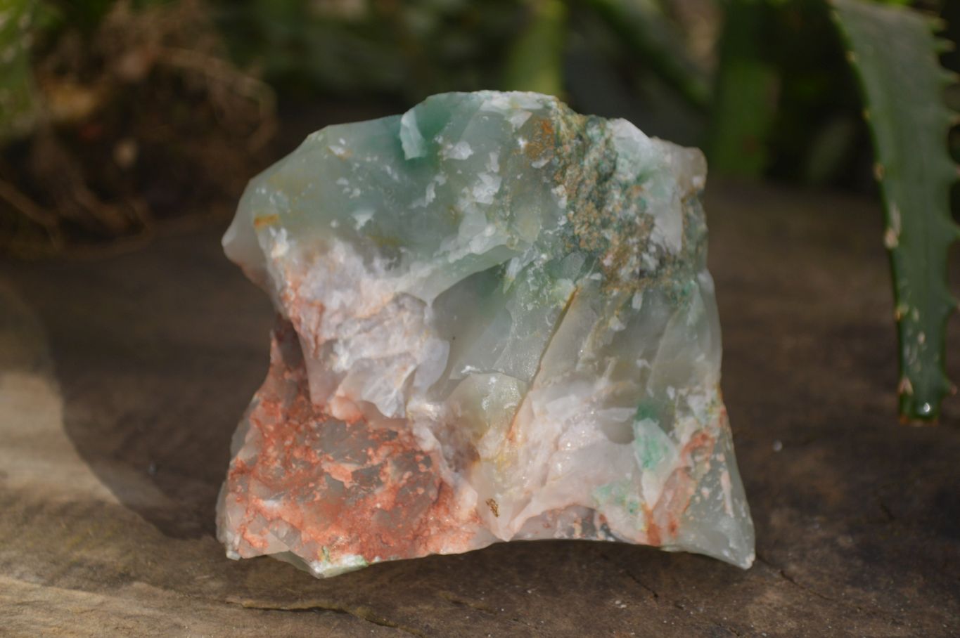 Natural Rough Green Jade Cobbed Specimens x 12 From Swaziland - Toprock Gemstones and Minerals 