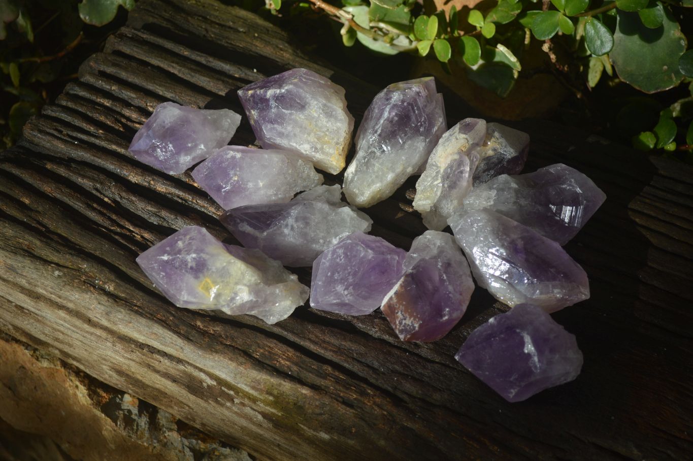 Natural Jacaranda Amethyst Crystals x 12 From Mumbwa, Zambia - Toprock Gemstones and Minerals 