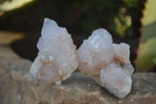 Natural Small Spirit Amethyst Quartz Crystals  x 70 From Boekenhouthoek, South Africa - Toprock Gemstones and Minerals 