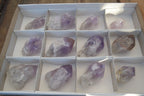 Natural Single Jacaranda Amethyst Crystals x 12 From Mumbwe, Zambia - Toprock Gemstones and Minerals 