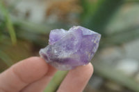 Polished Small Single Amethyst Crystals  x 70 From Zambia - Toprock Gemstones and Minerals 