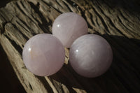 Polished Rare Blue Star Rose Quartz Spheres x 3 From Ambatondrazaka, Madagascar - Toprock Gemstones and Minerals 