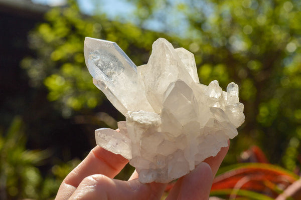 Natural Mixed Quartz Clusters  x 12 From Madagascar - TopRock