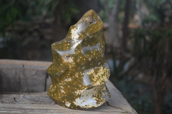 Polished Orbicular Ocean Jasper Flame Sculpture  x 1 From Madagascar - Toprock Gemstones and Minerals 