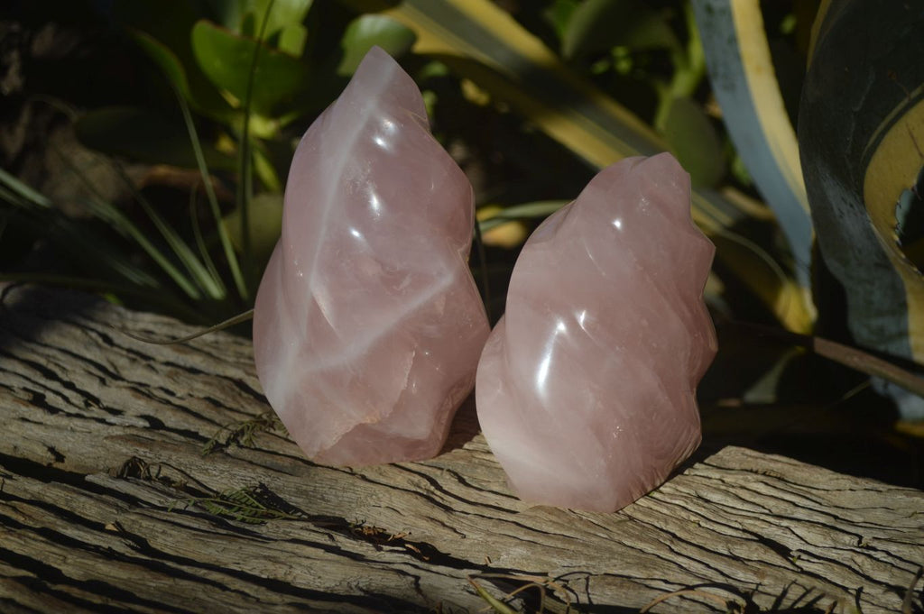 Polished Pink Rose Quartz Flame Sculptures x 2 From Madagascar - Toprock Gemstones and Minerals 