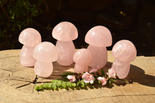 Polished Gemmy Pink Star Rose Quartz Mushrooms  x 6 From Madagascar - TopRock