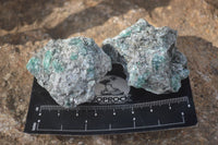 Natural Rare Emerald Mica In Matrix Cobbed Specimens x 20 From Mutoko, Zimbabwe - Toprock Gemstones and Minerals 