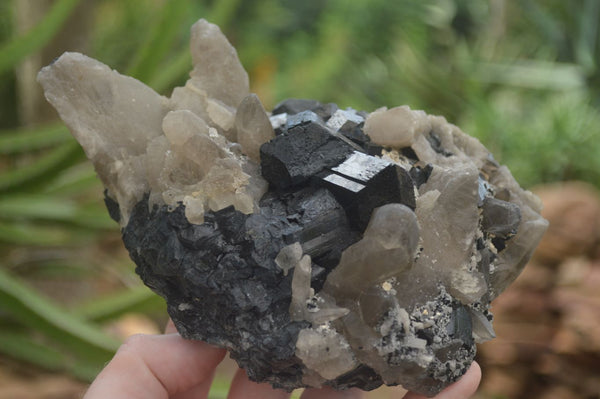 Natural Schorl Black Tourmaline Specimens x 2 From Erongo Mountains, Namibia - TopRock