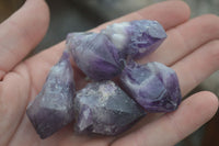 Polished Small Single Amethyst Crystals  x 70 From Zambia - Toprock Gemstones and Minerals 