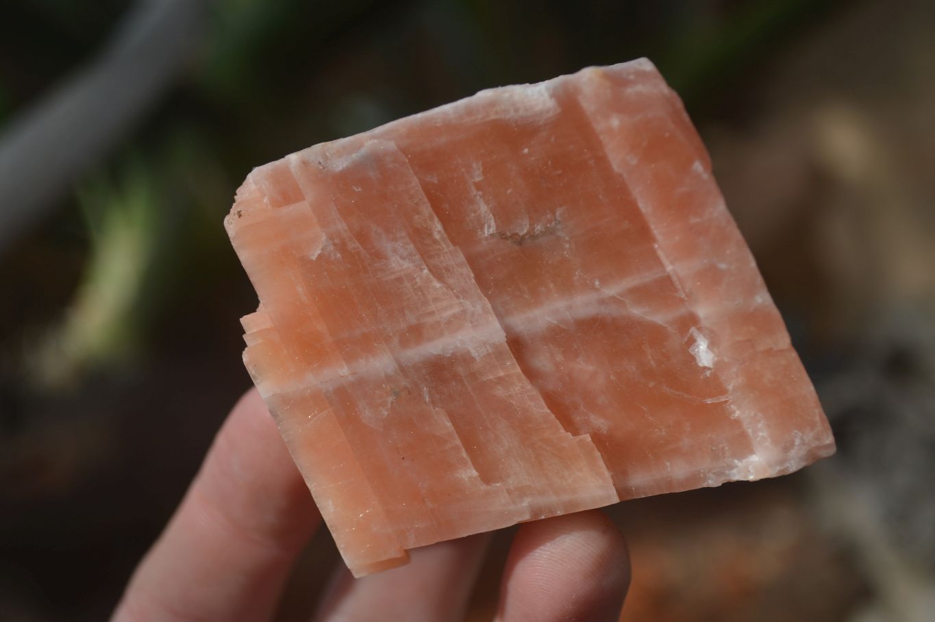 Natural New Sunset Orange Calcite Specimens  x 12 From Spitzkop, Namibia - Toprock Gemstones and Minerals 