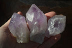 Natural Single Jacaranda Amethyst Crystals x 12 From Mumbwe, Zambia - Toprock Gemstones and Minerals 