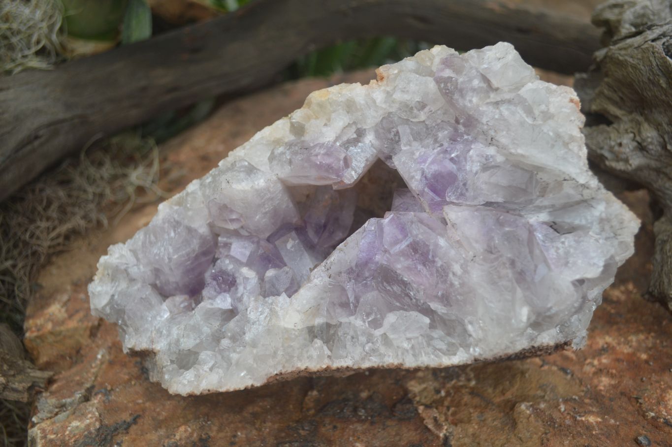 Natural Jacaranda Amethyst Cluster x 1 From Mumbwa, Zambia - TopRock
