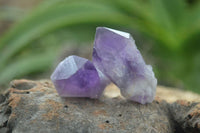 Polished Small Single Amethyst Crystals  x 70 From Zambia - Toprock Gemstones and Minerals 
